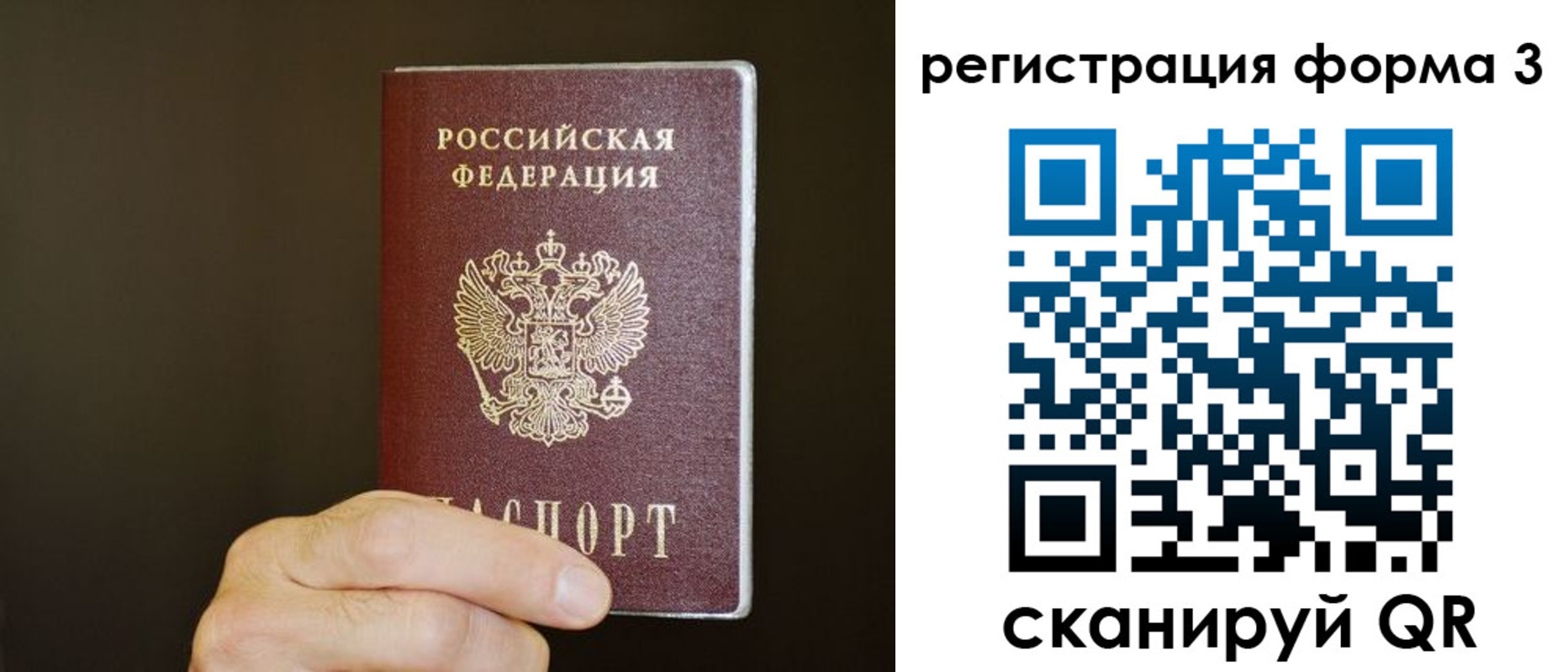 где прописаться в Сосновом Бору